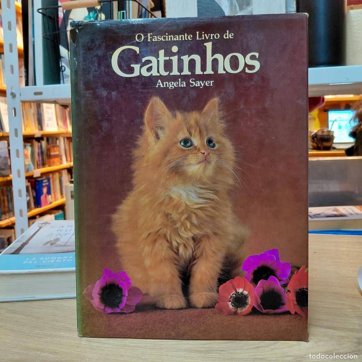 Libri di seconda mano: O fascinante livro de gatinhos - Angela Sayer
