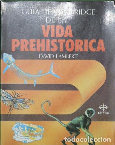 Libros: Gu&iacute;a de Cambridge de la vida prehist&oacute;rica- 9788476402658