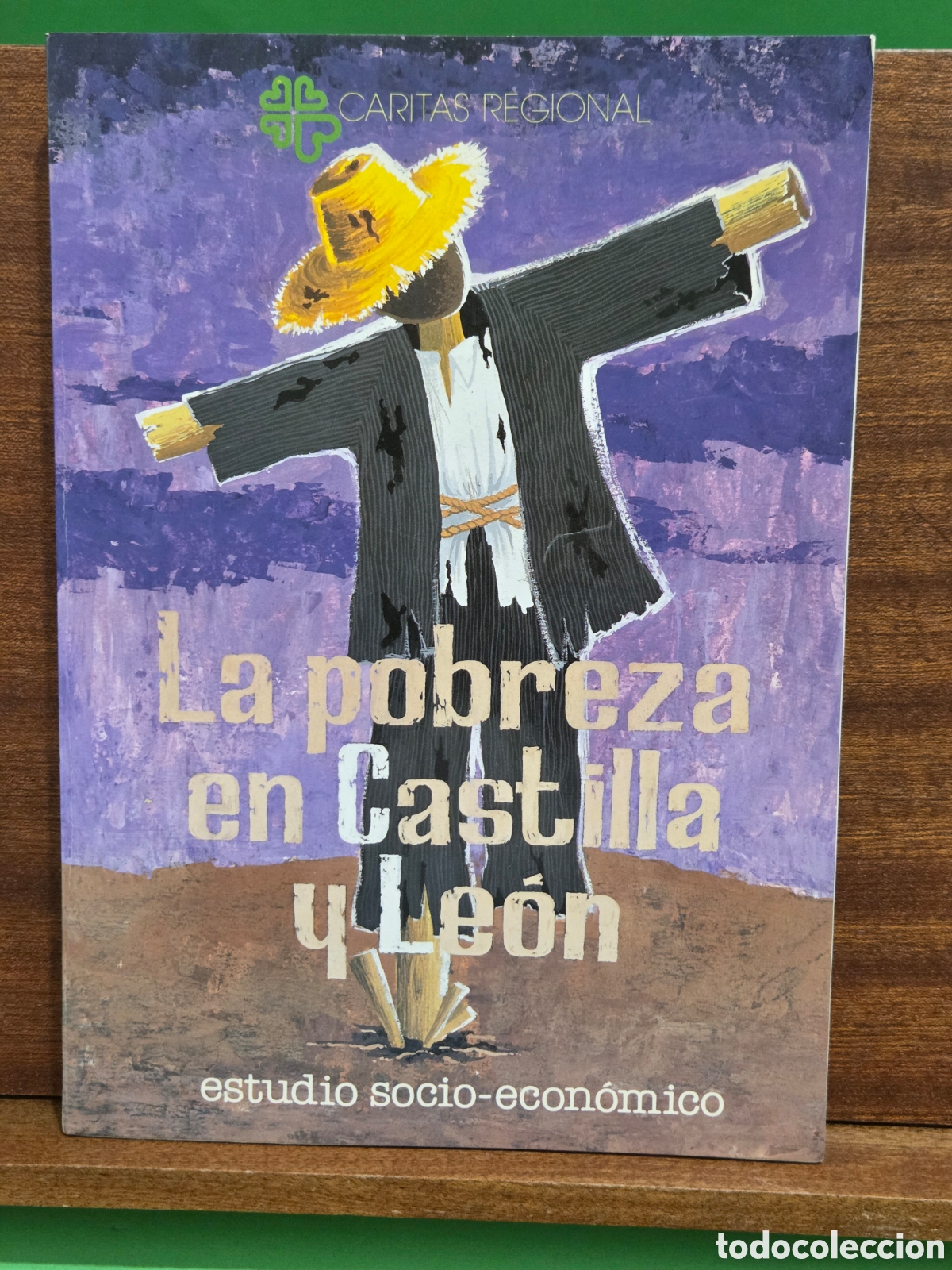 Libros: &rdquo;&rdquo;LA POBREZA EN CASTILLA Y LEON&rdquo;&rdquo;...ESTUDIO SOCIO-ECON&Oacute;MICO...CARITAS REGIONAL...1990...