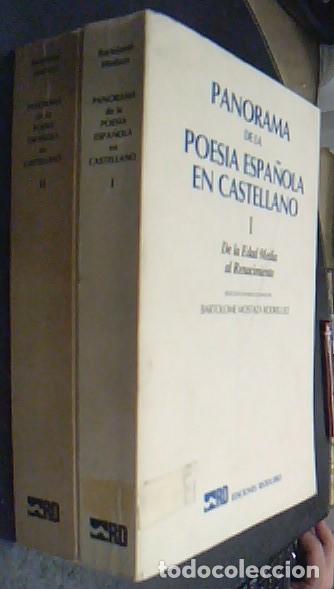Livres: Panorama de la poes&iacute;a espa&ntilde;ola en castellano. Tomo I: De la Edad Media al Renacimiento. Tomo II: Ren