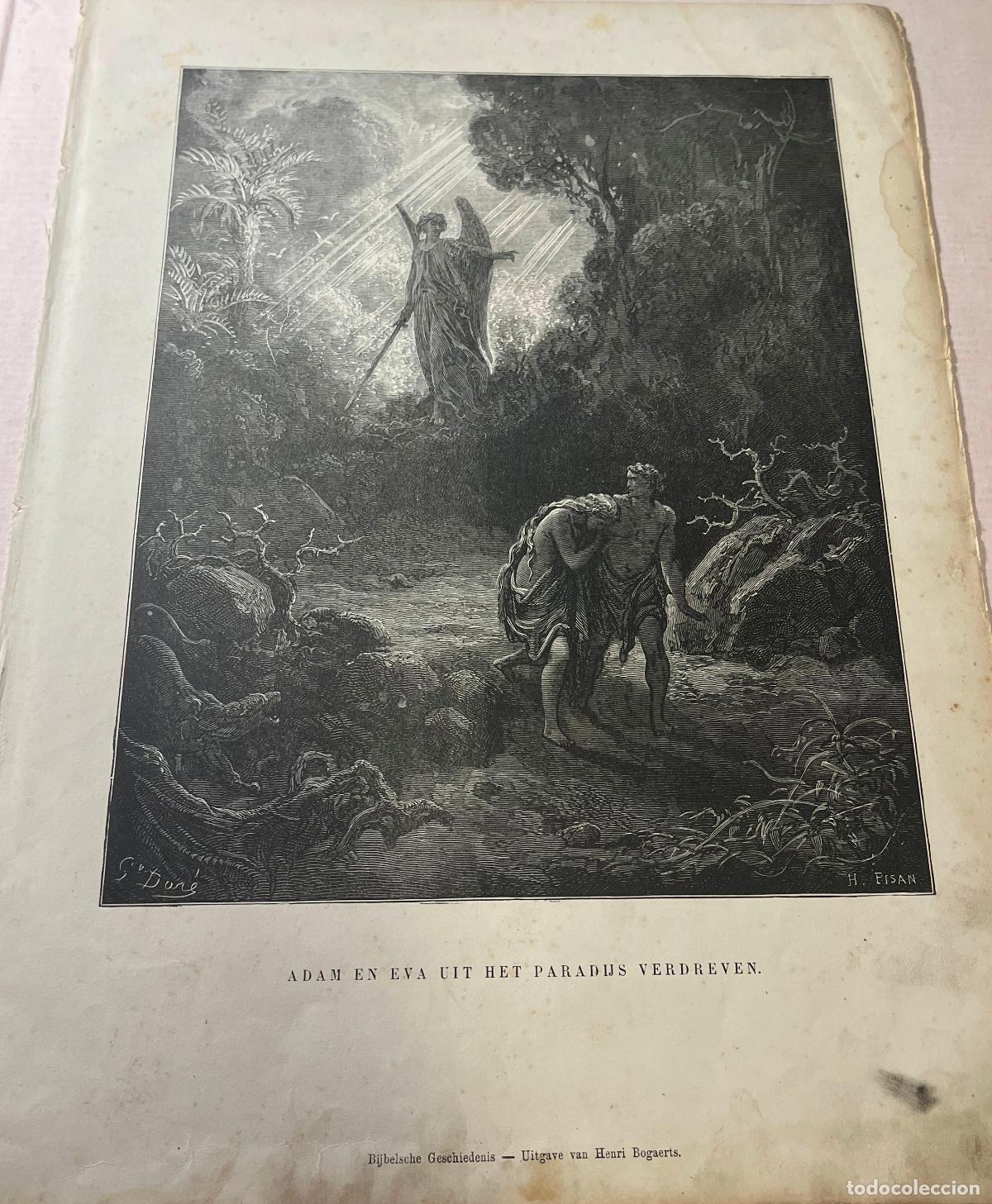 Libros: Adam En Eva Uit Het Paradijs Verdreven. - Gustavo Dor&eacute;: