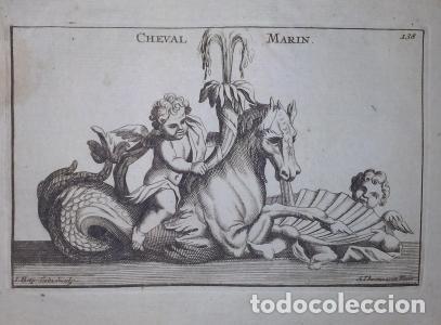 books: Cheval marin - S.Thomassin Fecit / I.Bap. Iubi esculpi&oacute;: