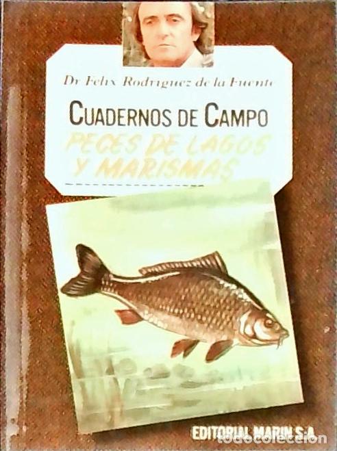 Libros: Peces de lagos y marismas. Cuadernos de campo n&ordm; 18 - RODR&Iacute;GUEZ DE LA FUENTE, F&eacute;lix: