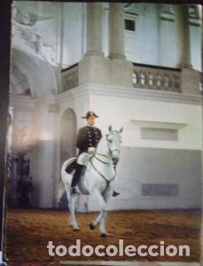 B&uuml;cher: Wien. Spanische Reitschule. Sigalvy Bona in der Schrittarbeit. Fotoverlag A. Kellner Wien. - :