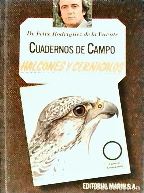 Libros: Halcones y marismas. Cuadernos de campo n&ordm; 19 - RODR&Iacute;GUEZ DE LA FUENTE, F&eacute;lix:
