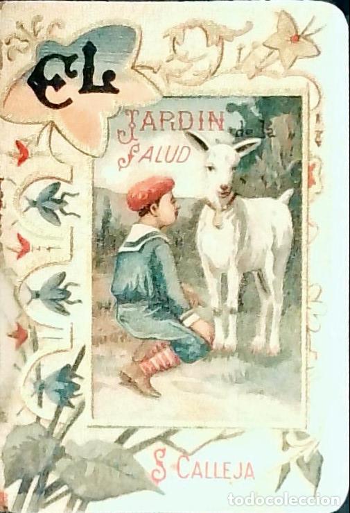 Libros: El jard&iacute;n de la salud - Calleja, Saturnino: