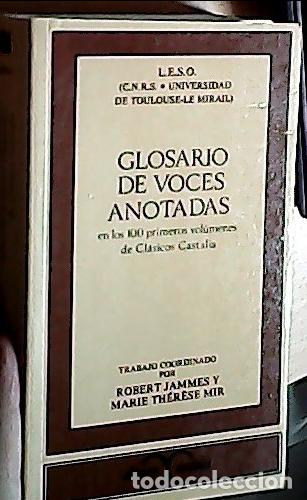 B&uuml;cher: Glosario de voces anotadas, en los 100 primeros vol&uacute;menes de Cl&aacute;sicos Castalia - QUEVEDO VILLEGAS, F