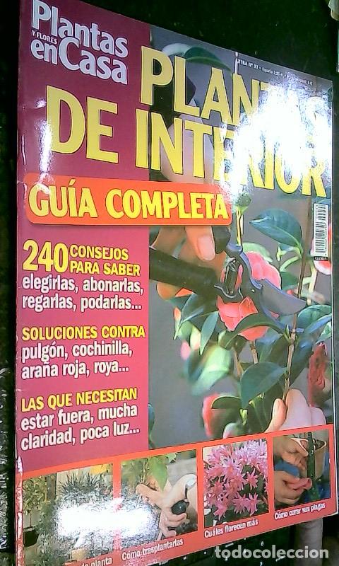 B&uuml;cher: Plantas de interior. Gu&iacute;a completa - REVISTA: