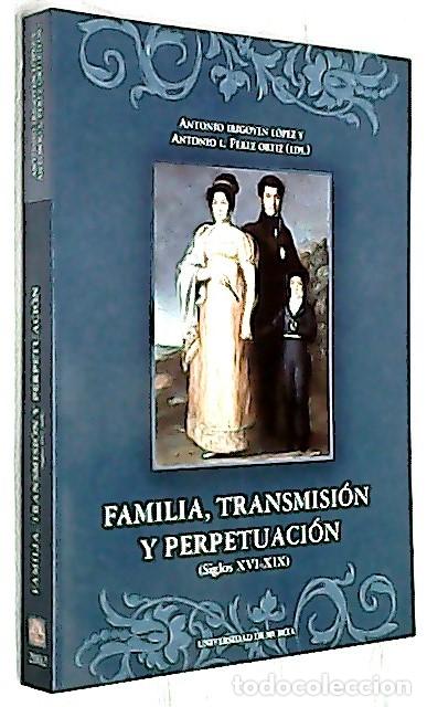 Libri di seconda mano: Familia, transici&oacute;n y perpetuaci&oacute;n (Siglos XVI-XIX) - IRIGOYEN L&Oacute;PEZ, Antonio y P&Eacute;REZ ORTIZ, Antonio