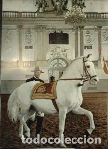 B&uuml;cher: Wien. Spanische Reitschule. Am langen Z&uuml;gel. Fotoverlag A. Kellner Wien. - :