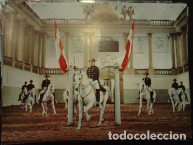 B&uuml;cher: Wien. Spanische Reitschule. Schulquadrille, Diagonale, starker Trab. Fotoverlag A. Kellner Wien. - :