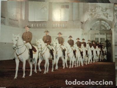 B&uuml;cher: Wien. Spanische Reitschule.Einreiten zur Schulquadrille. Fotoverlag A. Kellner Wien. - :