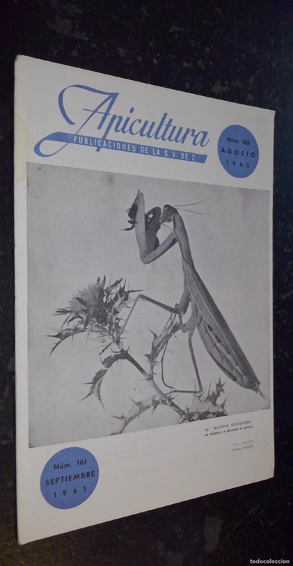 Libri di seconda mano: Apicultura. N&ordm; 160. Agosto 1965 - AA. VV.: