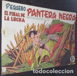 Libros: El final de la lucha - C&Oacute;MICS: - Foto 1