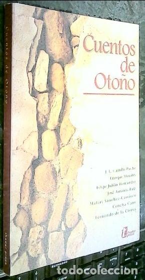 books: Cuentos de oto&ntilde;o - CASTILLO PUCHE y OTROS: