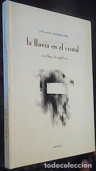 books: La lluvia en el cristal - Mart&iacute;nez Mu&ntilde;oz, Jos&eacute; Antonio: