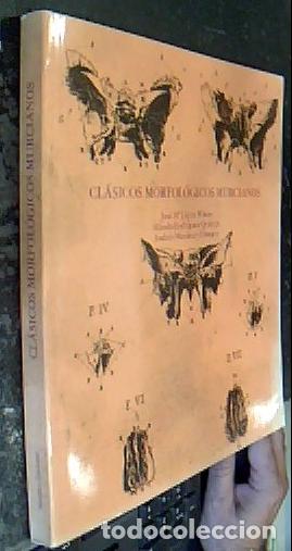 Libri di seconda mano: Cl&aacute;sicos morfol&oacute;gicos murcianos - L&Oacute;PEZ PI&Ntilde;ERO, Jos&eacute; M&trade;; RODR&Iacute;GUEZ QUIROGA, Alfredo y MART&Iacute;NEZ ALMAG
