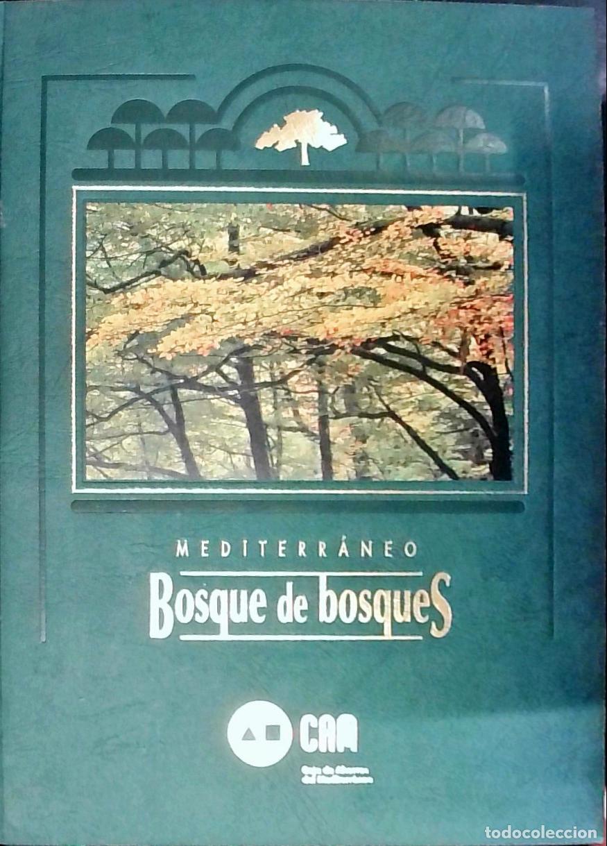 B&uuml;cher: Mediterr&aacute;neo, bosque de bosques. Coordinado por&hellip; - Araujo, Joaqu&iacute;n: