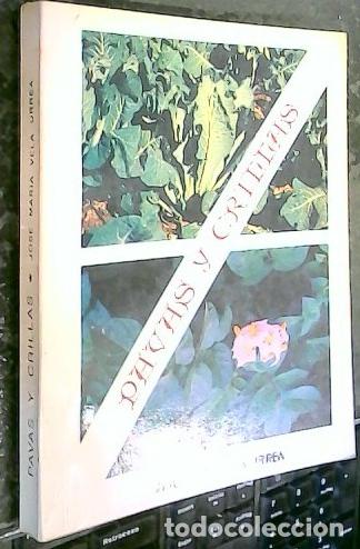 Livros em segunda m&atilde;o: Pavas y crillas - VELA URREA, Jos&eacute; Mar&iacute;a: