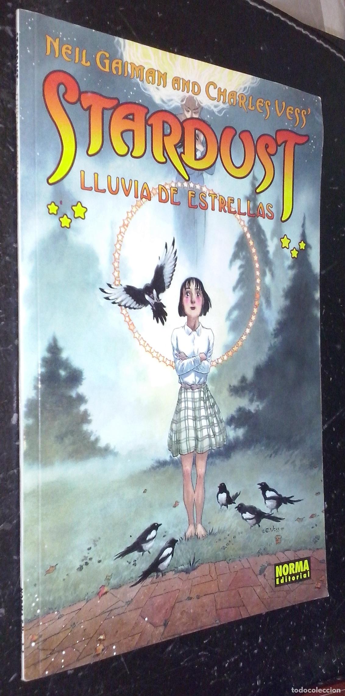 Libros: Stardust. Lluvia de estrellas - GAIMAN, Neil y VESS, Charles: