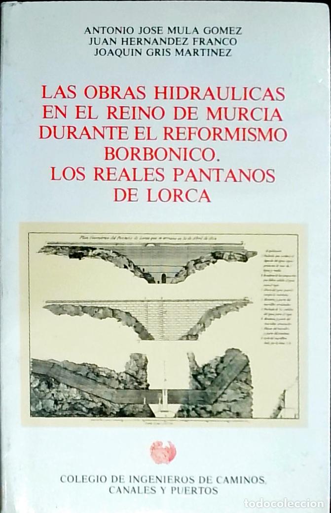 books: Las obras hidr&aacute;ulicas en el Reino de Murcia durante el reformismo borb&oacute;nico : los Reales Pantanos de
