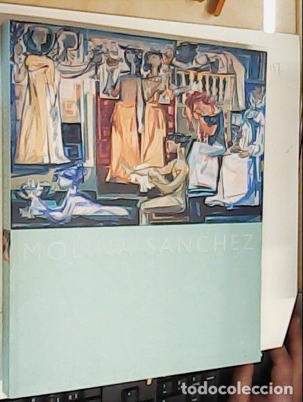 B&uuml;cher: Molina S&aacute;nchez. Del 14 de mayo al 16 de junio de 2002. Sala de Exposiciones de la Iglesia de San Est