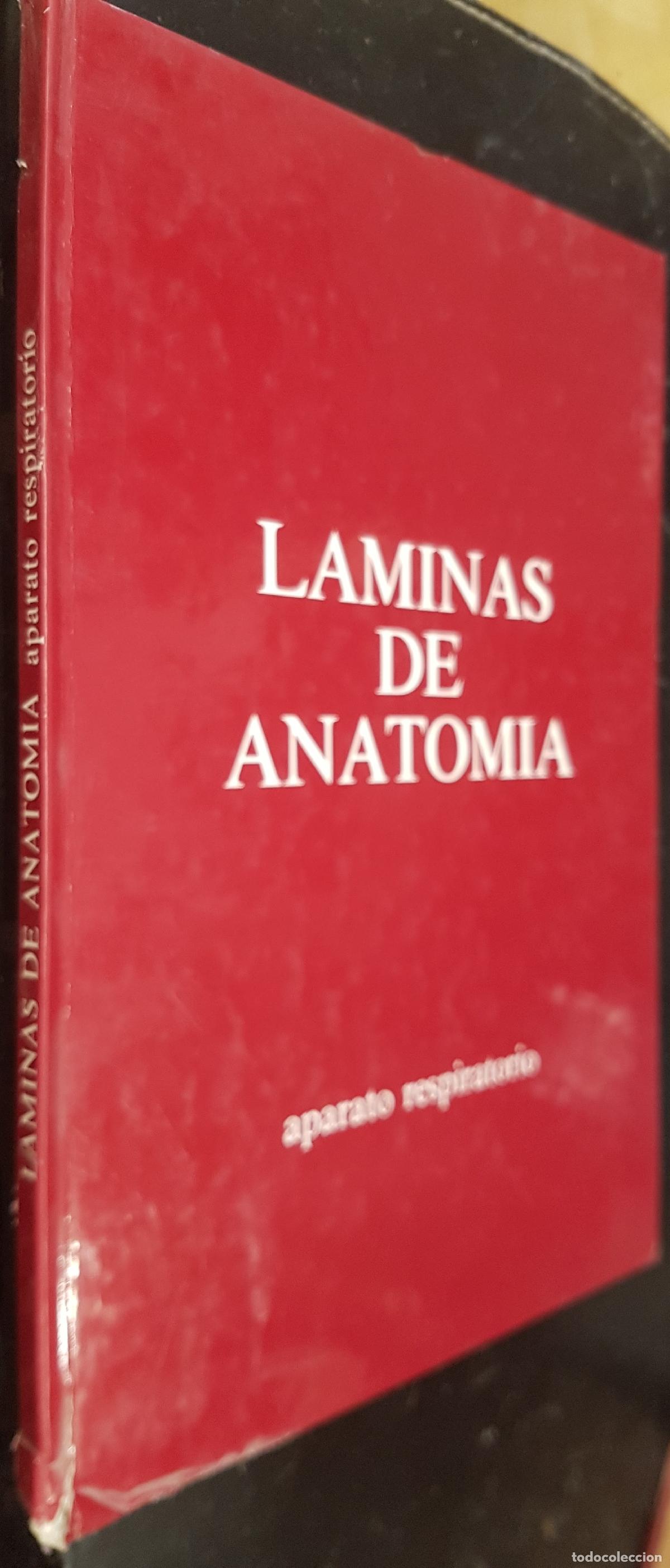 Libri di seconda mano: L&aacute;minas de anatom&iacute;a. Aparato respiratorio - :