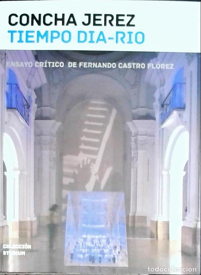 B&uuml;cher: Tiempo diario. Ensayo cr&iacute;tico de Fernando Castro Fl&oacute;rez - Jerez, Concha: