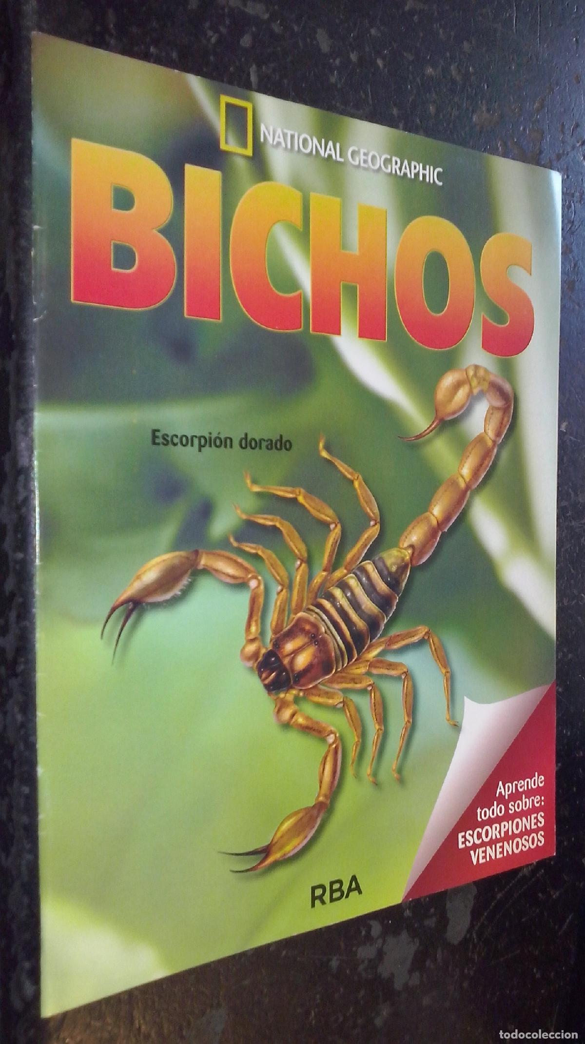Libri di seconda mano: Bichos. Aprende todo sobre: Escorpiones venenosos - AA. VV.: