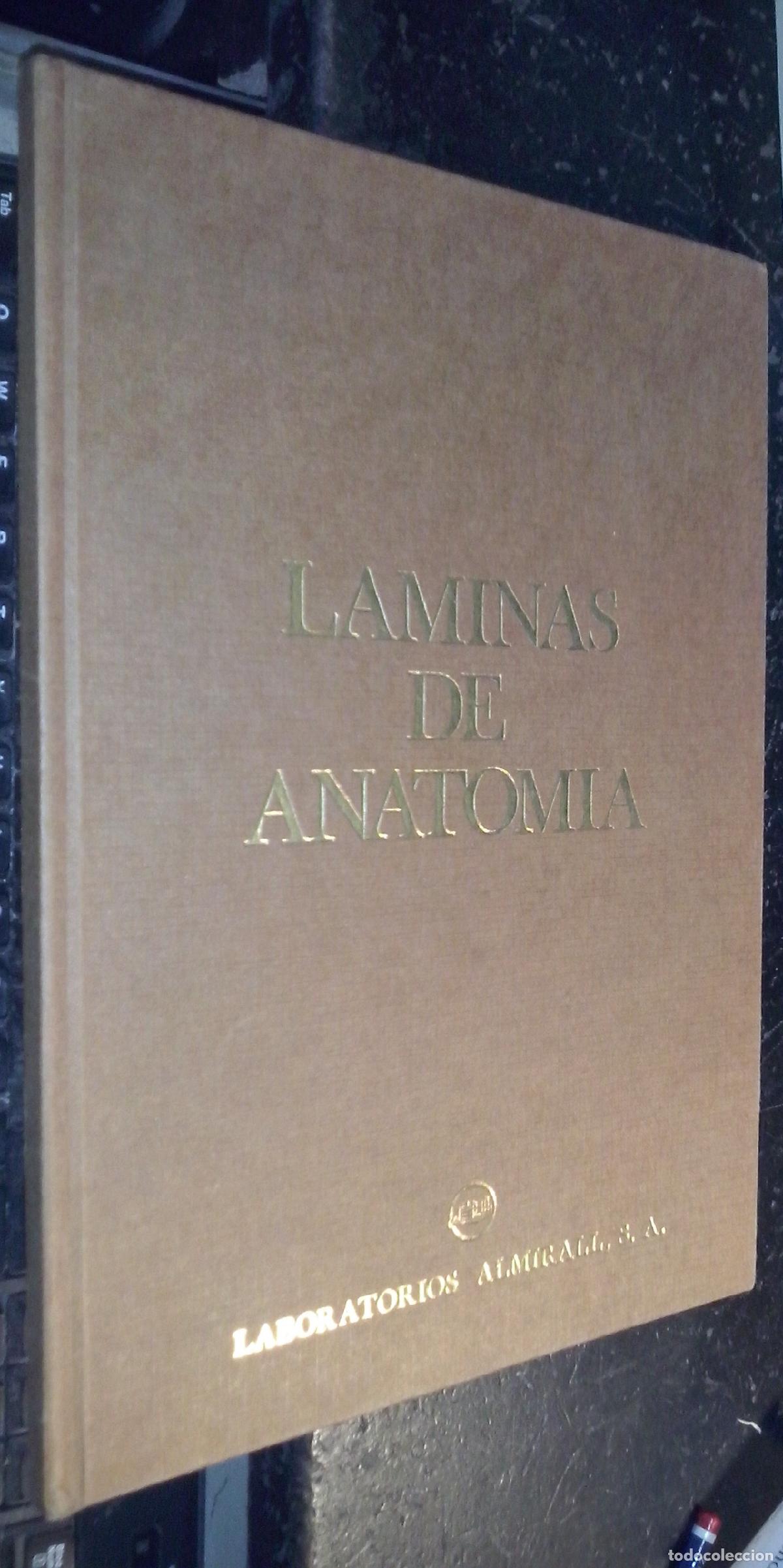 Libri di seconda mano: L&aacute;minas de anatom&iacute;a - AA. VV.: