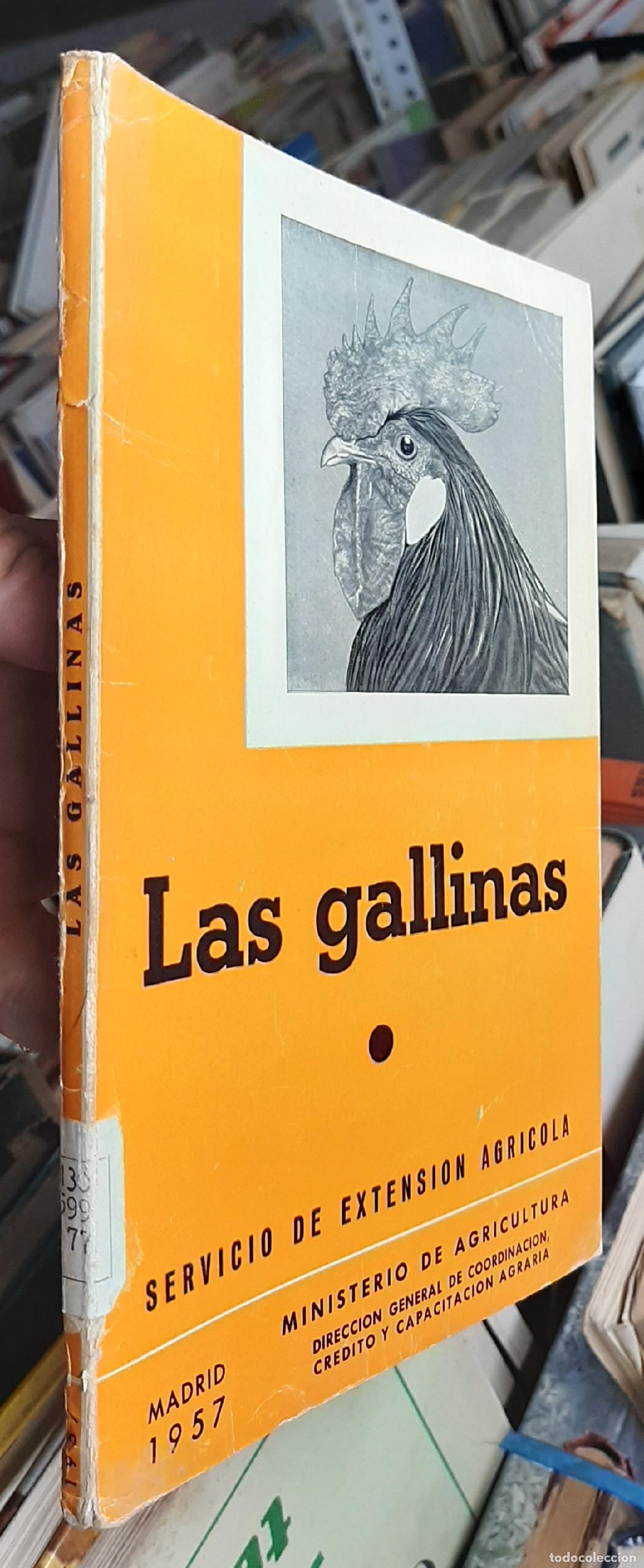 Libros: Las gallinas - AA. VV.: