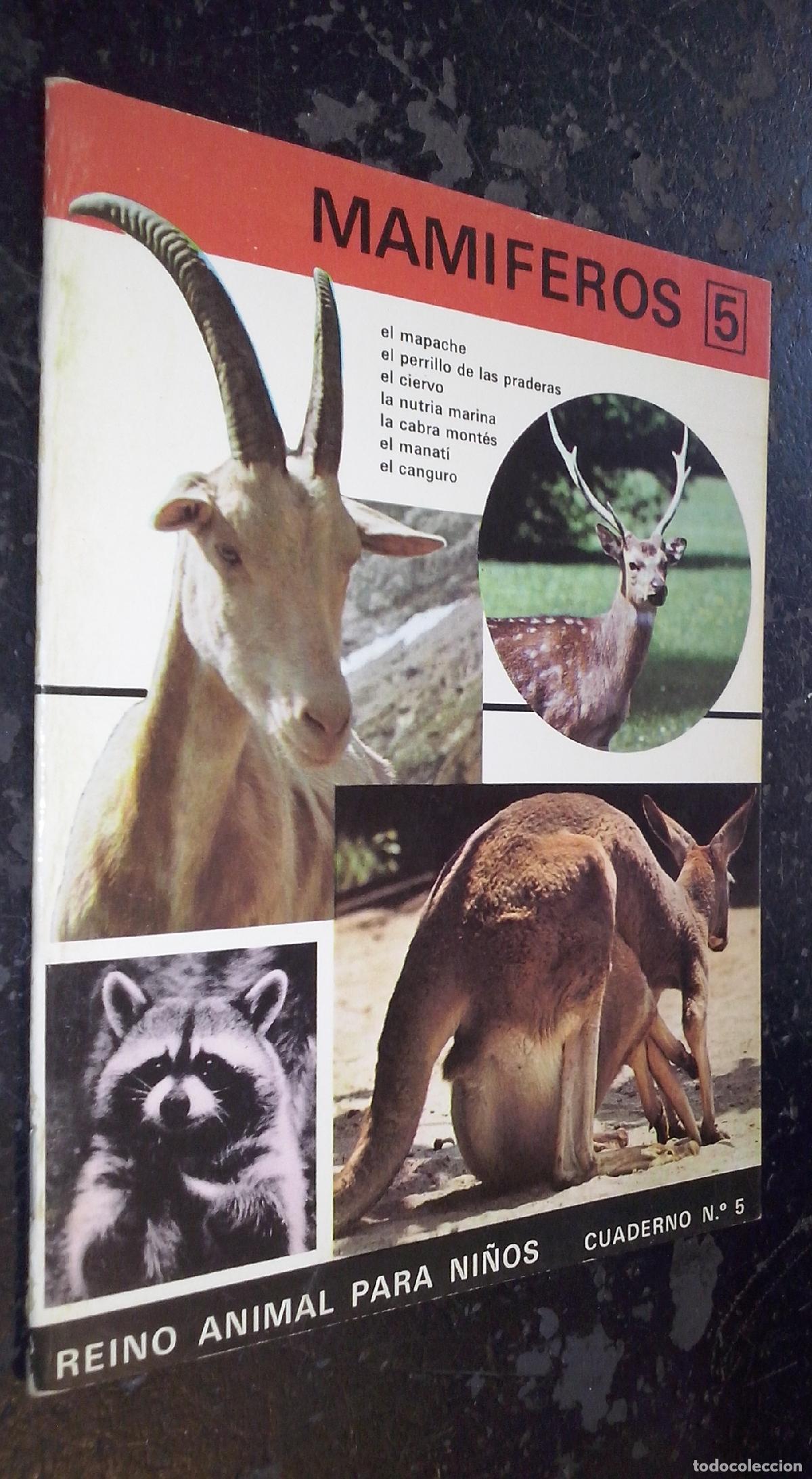 B&uuml;cher: Reino Animal para Ni&ntilde;os. Cuaderno N&ordm; 5: Mam&iacute;feros 5: El mapache, el perrillo de las praderas. el cie