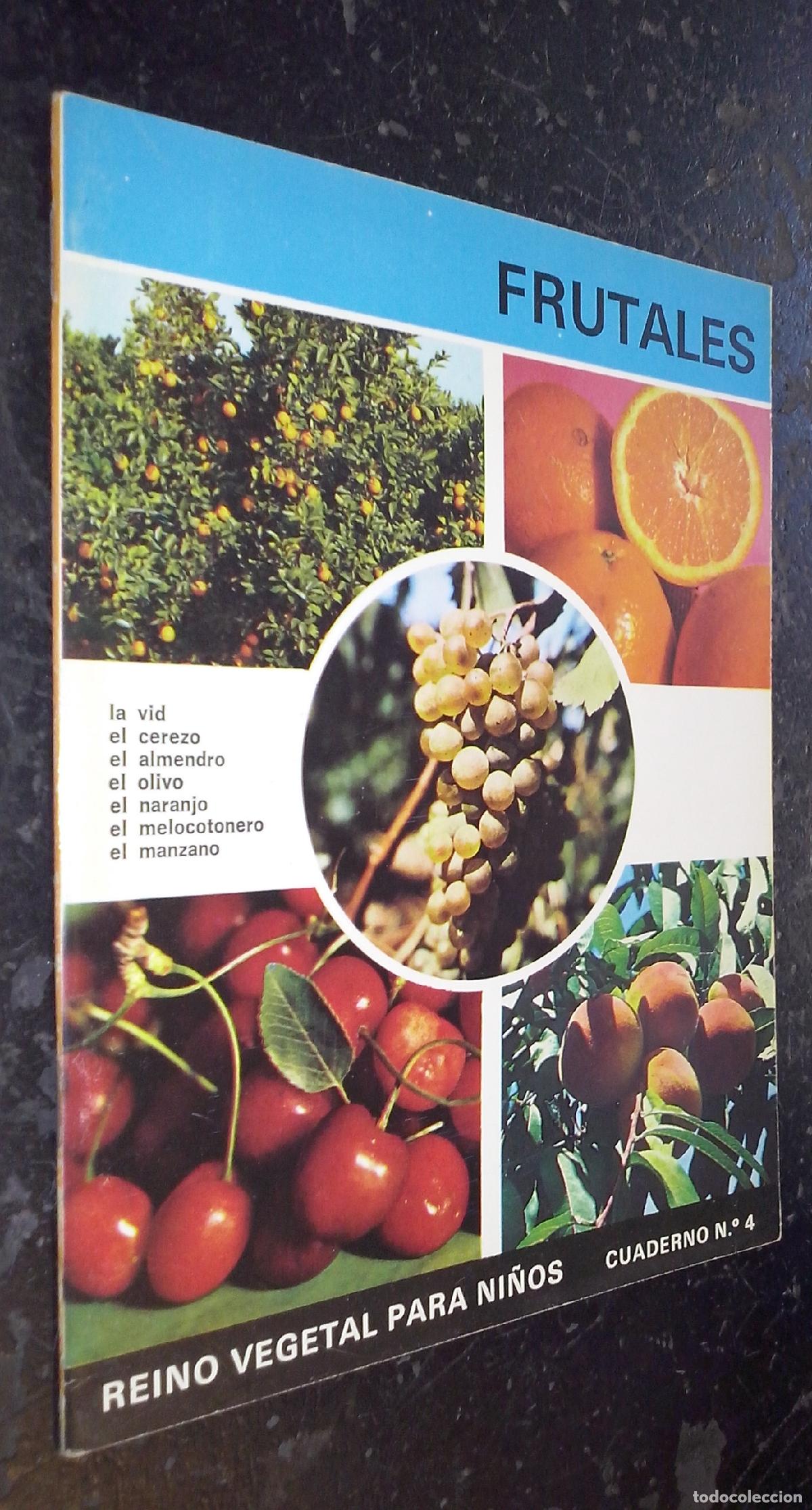 books: Reino Vegetal para Ni&ntilde;os. Cuaderno N&ordm; 4: Frutales: La vid, el cerezo, el almendro, el olivo, el nara