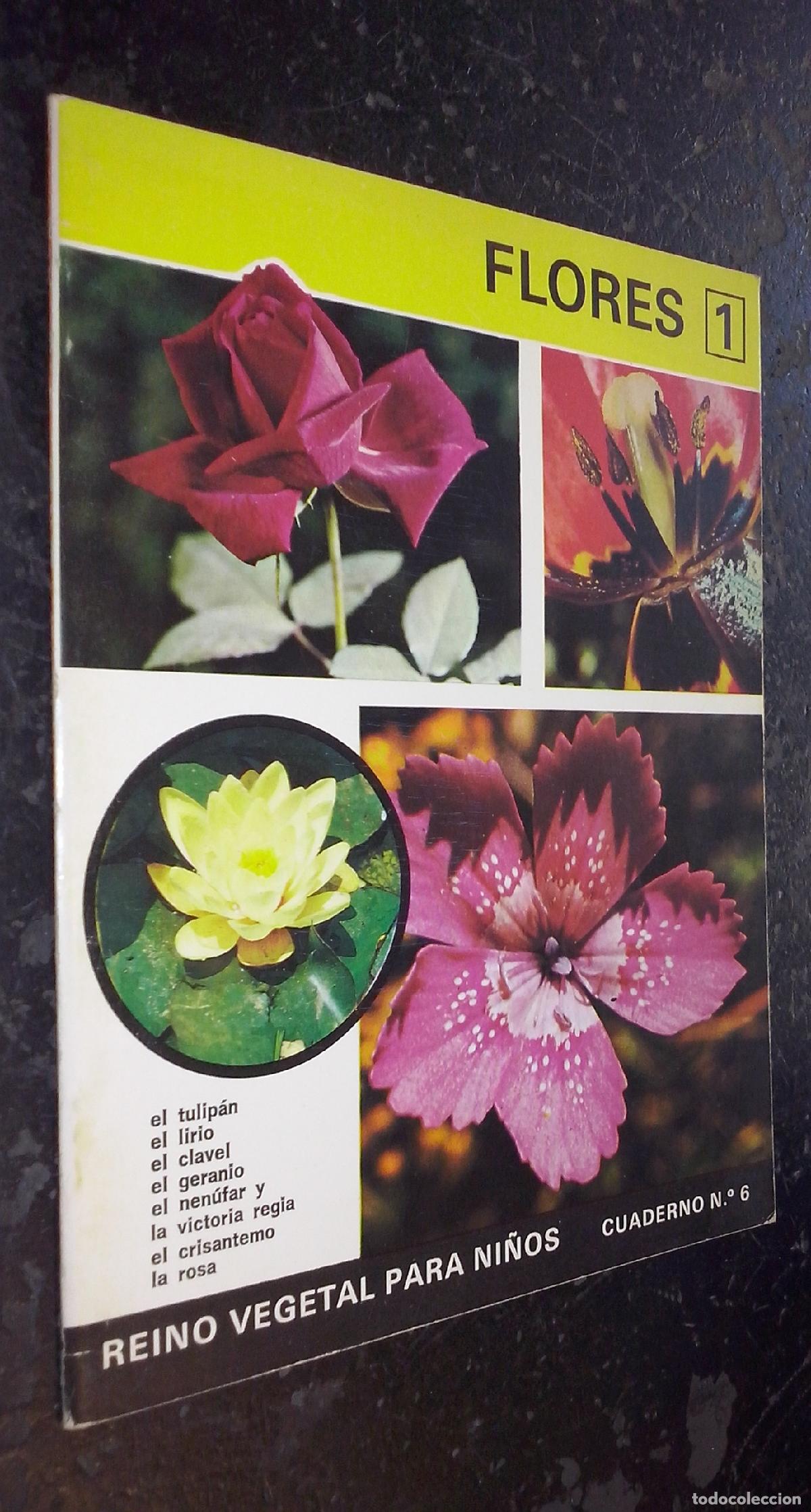 books: Reino Vegetal para Ni&ntilde;os. Cuaderno N&ordm; 6: Flores 1: El tulip&aacute;n, el lirio, el clavel, el geranio, el n