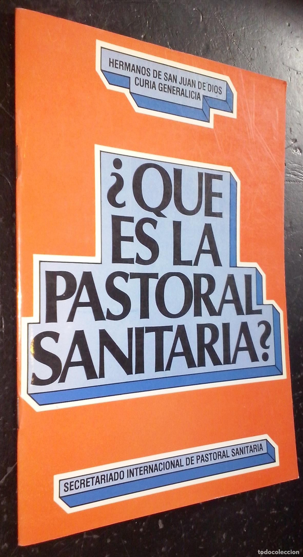 Libros: &iquest;Qu&eacute; es la pastoral sanitaria? - AA. VV.: - Foto 1