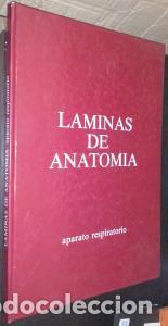 Livros em segunda m&atilde;o: L&aacute;minas de anatom&iacute;a. Aparato respiratorio - AN&Oacute;NIMO: