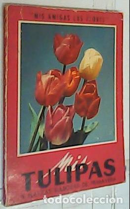 Libri di seconda mano: Mis Tulipas. Jacintos. Narcisos. Crocus. Junquillos y otras plantas bulbosas - :