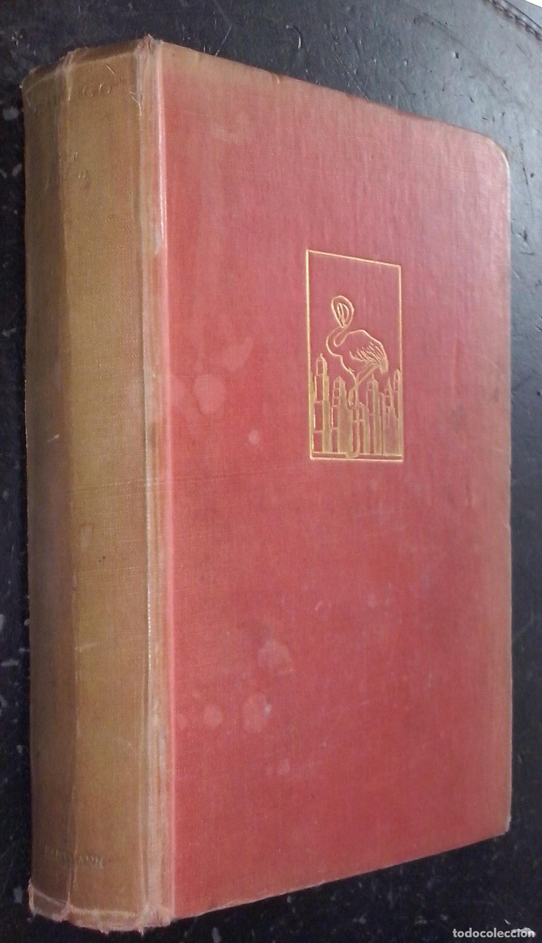 B&uuml;cher: Flamingo or the American Tower - BORDEN, Mary: