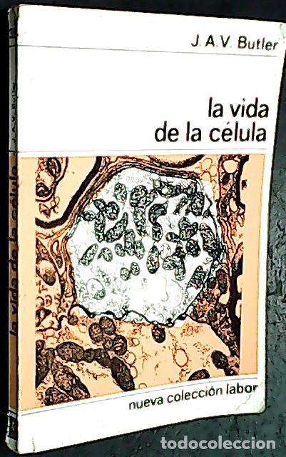 Libros: La vida de la c&eacute;lula - BUTLER, J.A.V: - Foto 1