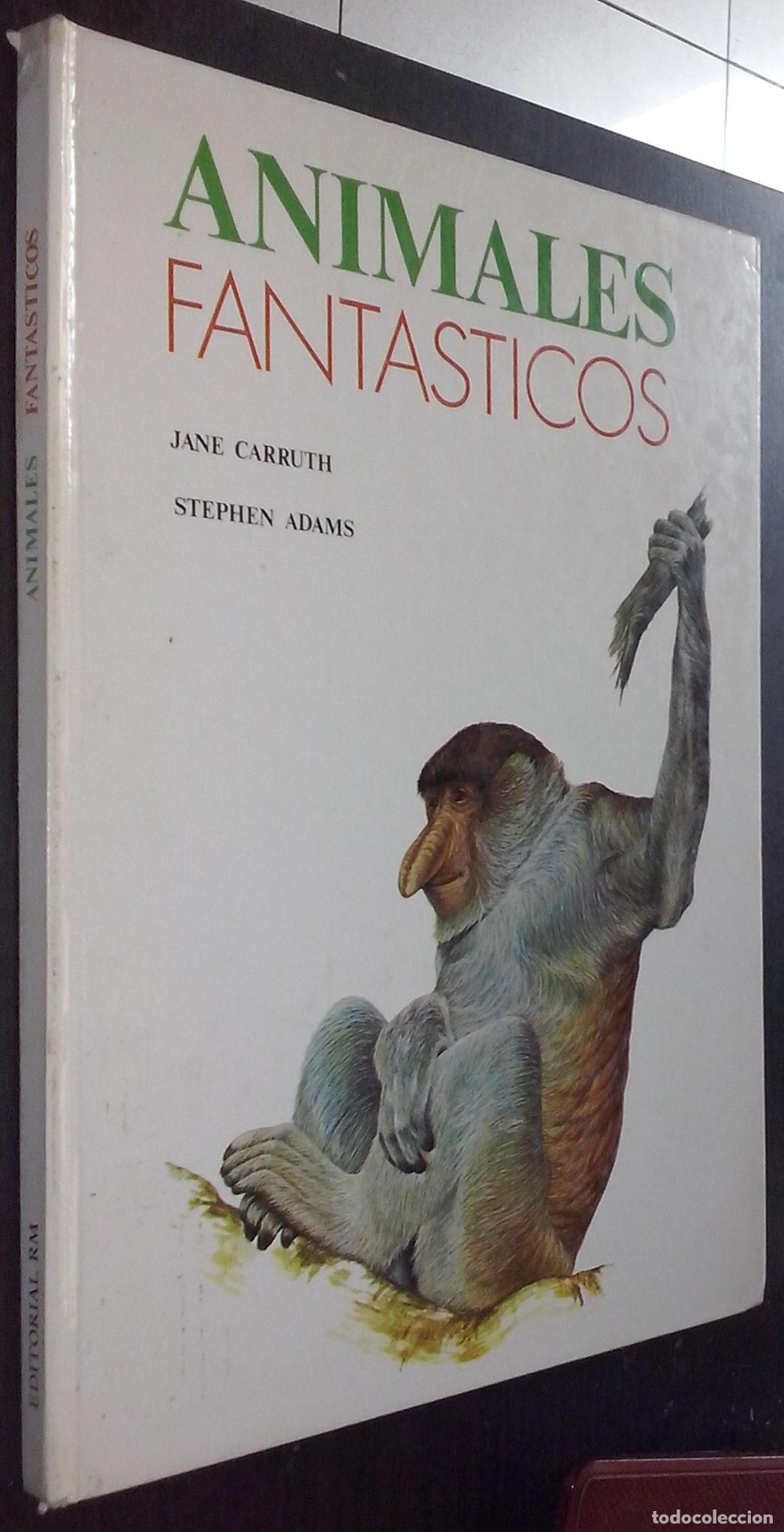 Libros: Animales fant&aacute;sticos - CARRUTH, Jane y ADAMS, Stephen: - Foto 1