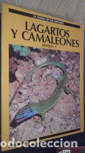 B&uuml;cher: Lagartos y camaleones. Reptiles II - AN&Oacute;NIMO: