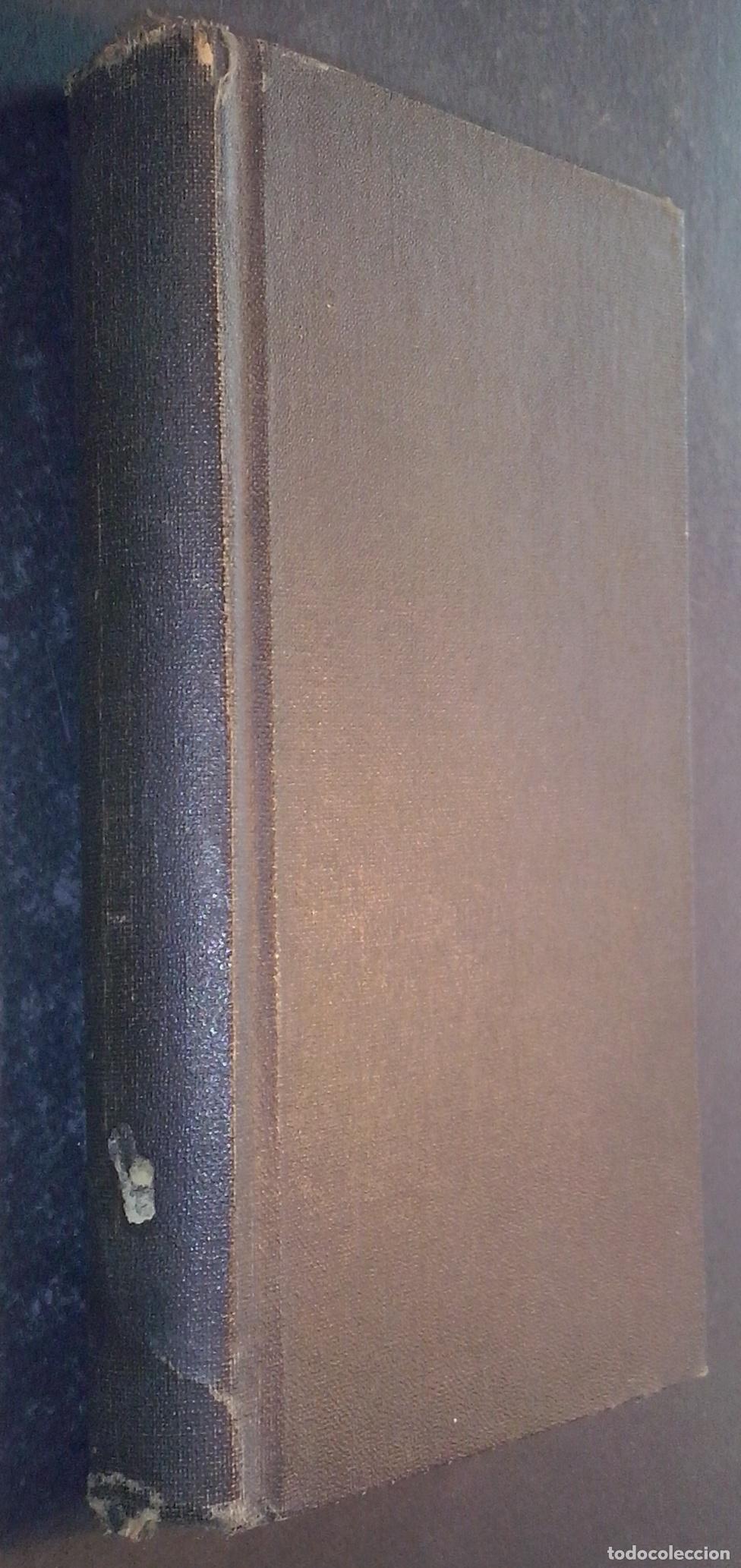 B&uuml;cher: La mujer y el pelele. Novela andaluza - LOUYS, Pierre: