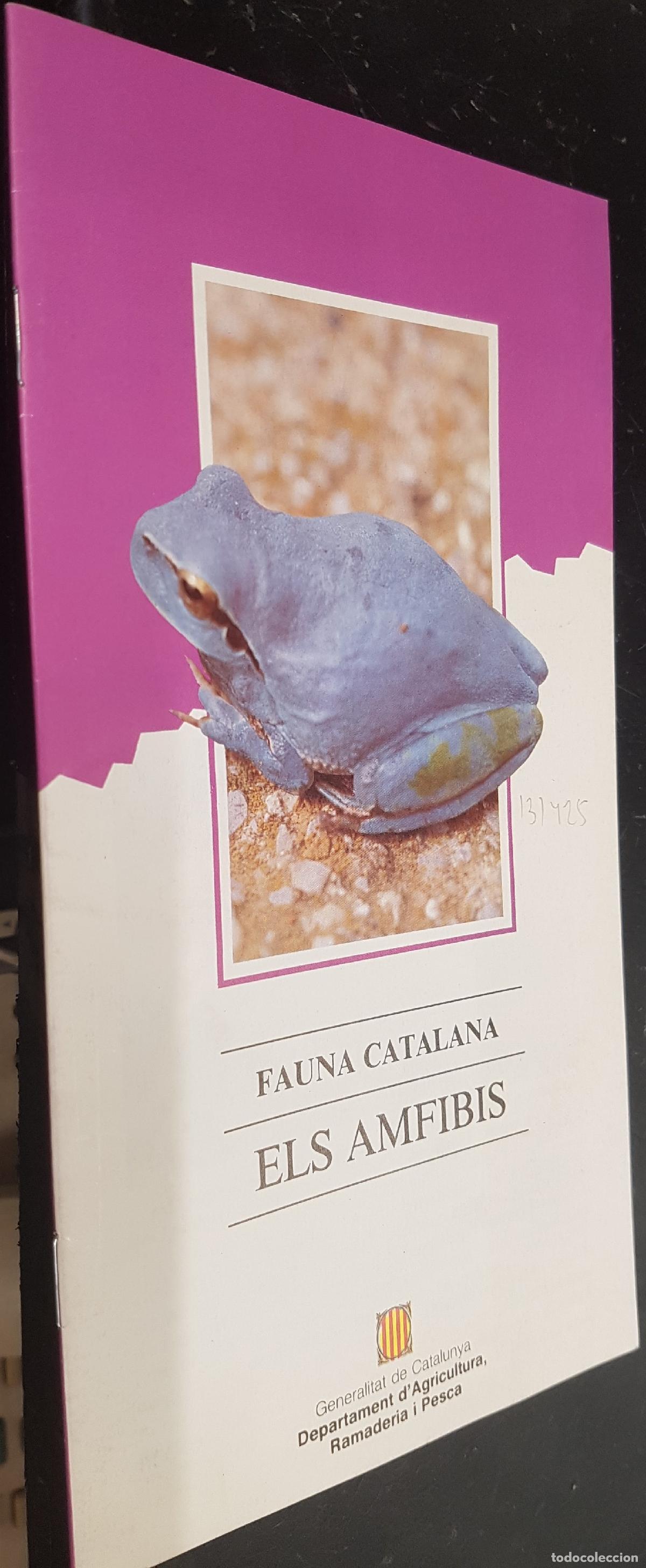 Libri di seconda mano: Els amfibis. Fauna Catalana - MONTORI, Albert: