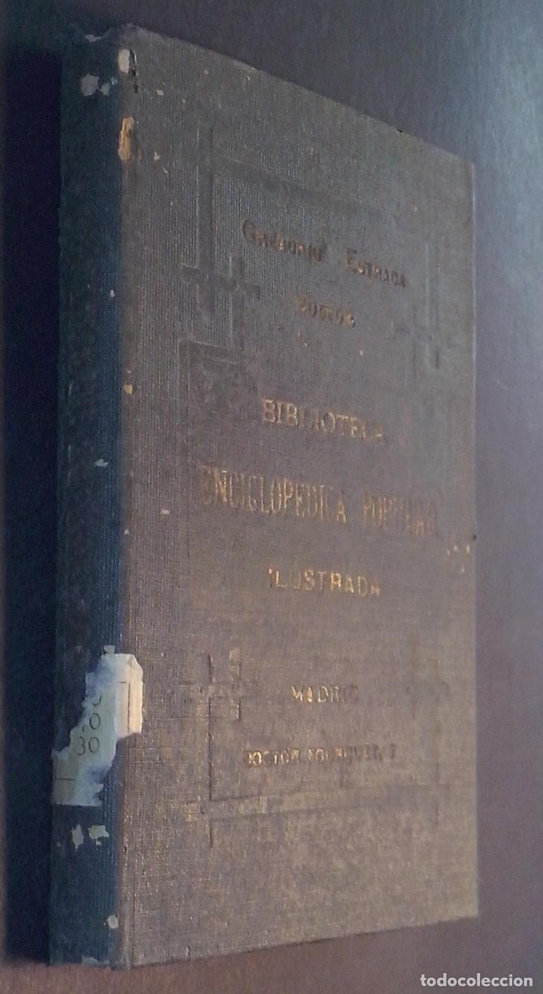 Libros: Manual del cultivo de &aacute;rboles frutales - PLA Y RAVE, Eugenio:
