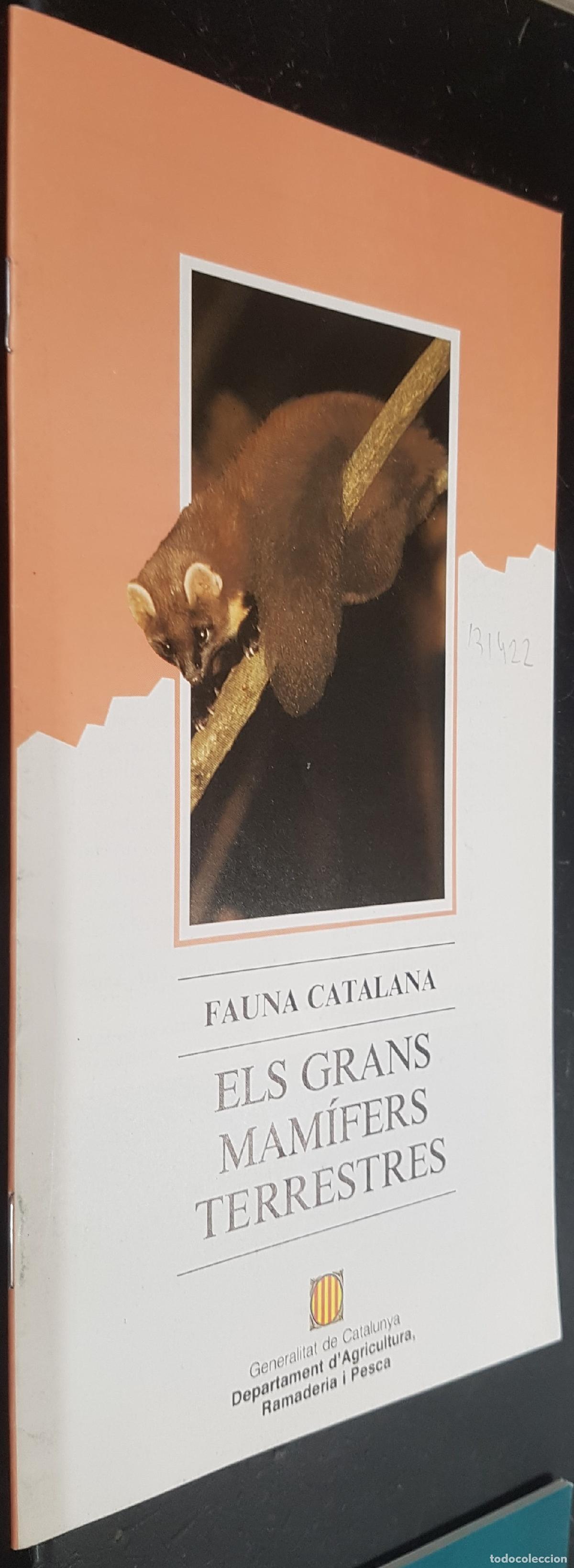 Libri di seconda mano: Els grans mam&iacute;fers terrestres. Fauna Catalana - RUIZ OLMO, Jordi: