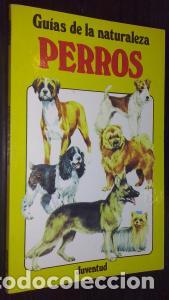 Libri di seconda mano: Gu&iacute;as de la naturaleza. Perros - GLOVER, Harry: