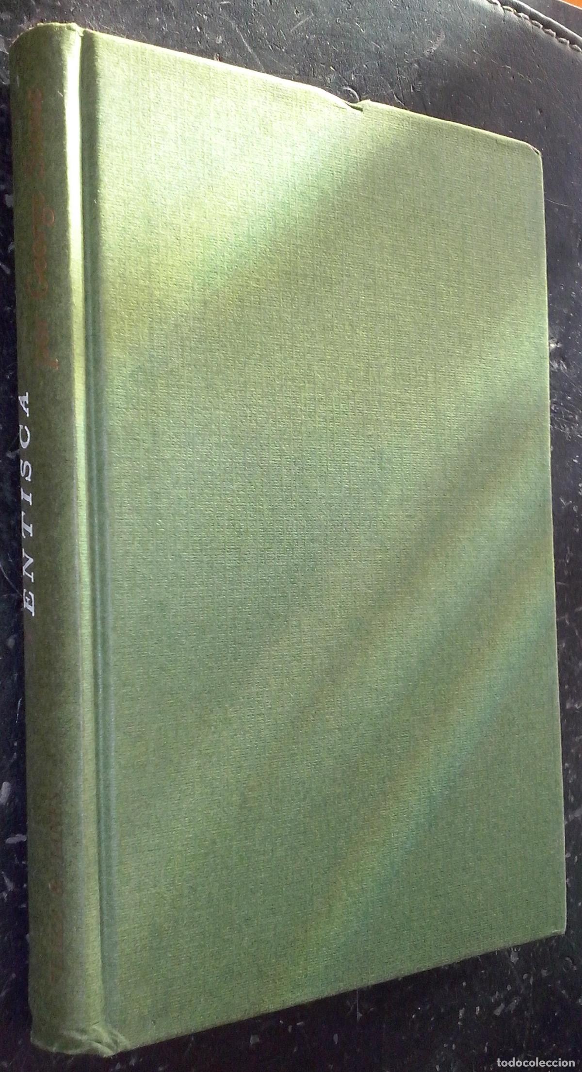 Libros: Ventisca - STONE, George: