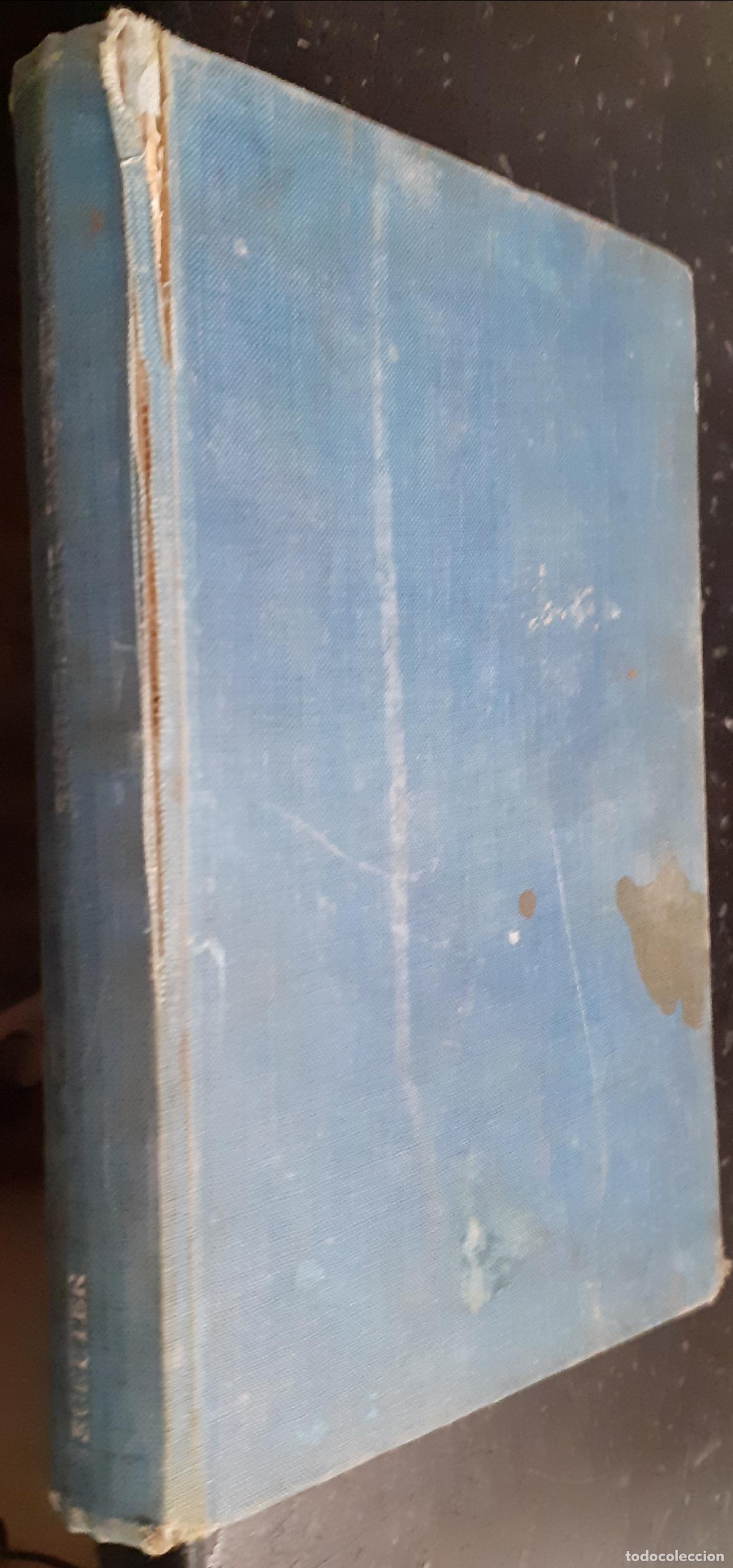 Libri di seconda mano: Our Lady the Virgin - SU&Aacute;REZ, Federico: