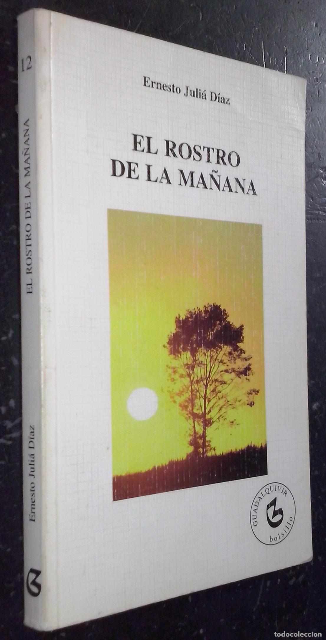 books: El rostro de la monta&ntilde;a (Anotaciones de un ingenuo) - JULI&Aacute; D&Iacute;AZ, Ernesto:
