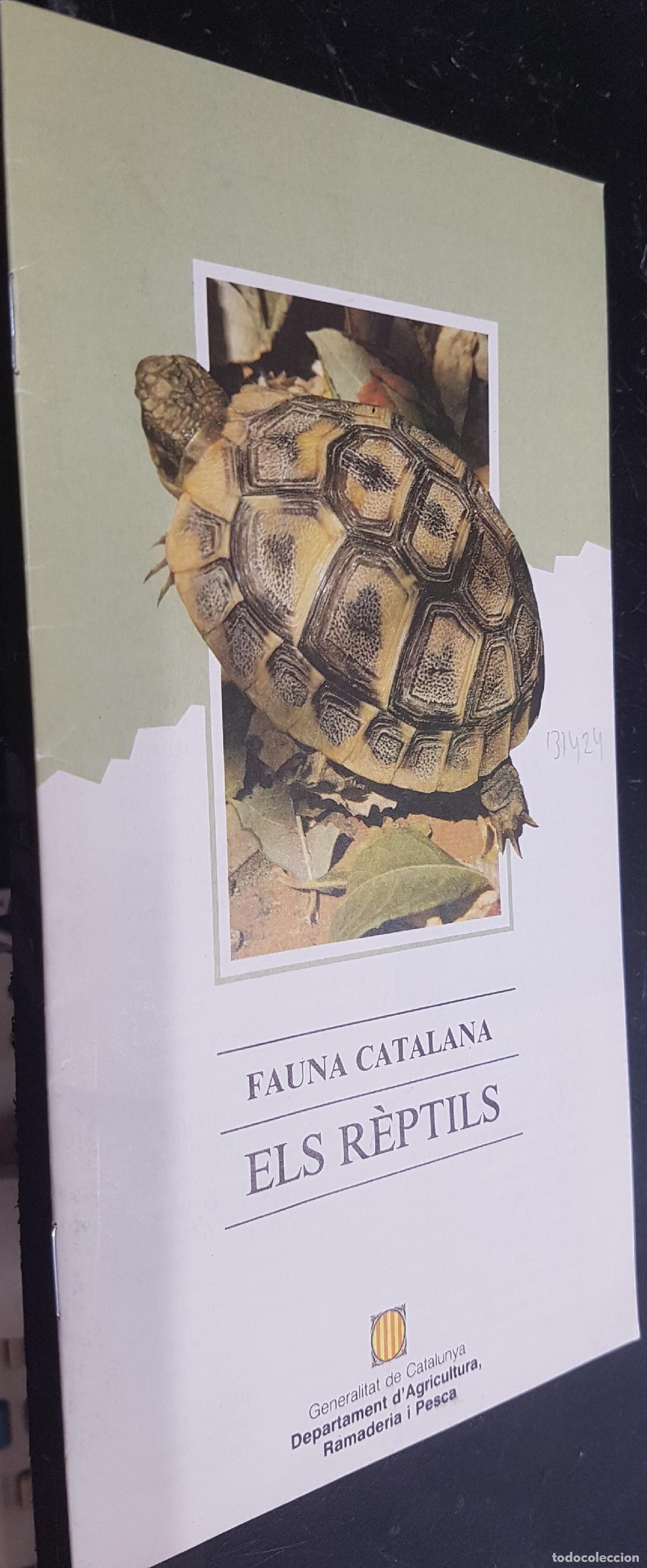 Libros: Els r&eacute;ptils. Fauna Catalana - LLORENTE, Gustavo: